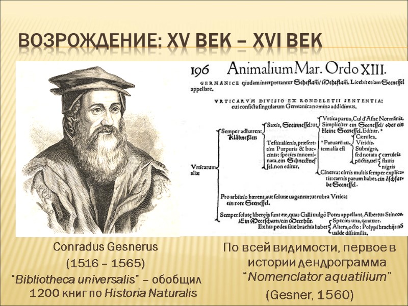 ВОЗРОЖДЕНИЕ: ХV век – ХVI век Conradus Gesnerus (1516 – 1565) “Bibliotheca universalis” –